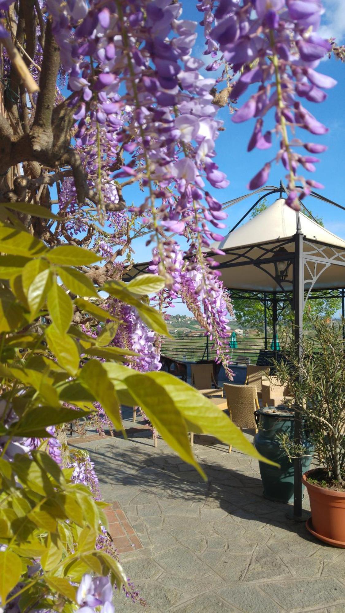 Locanda Del Boscogrande Montegrosso d'Asti Eksteriør billede