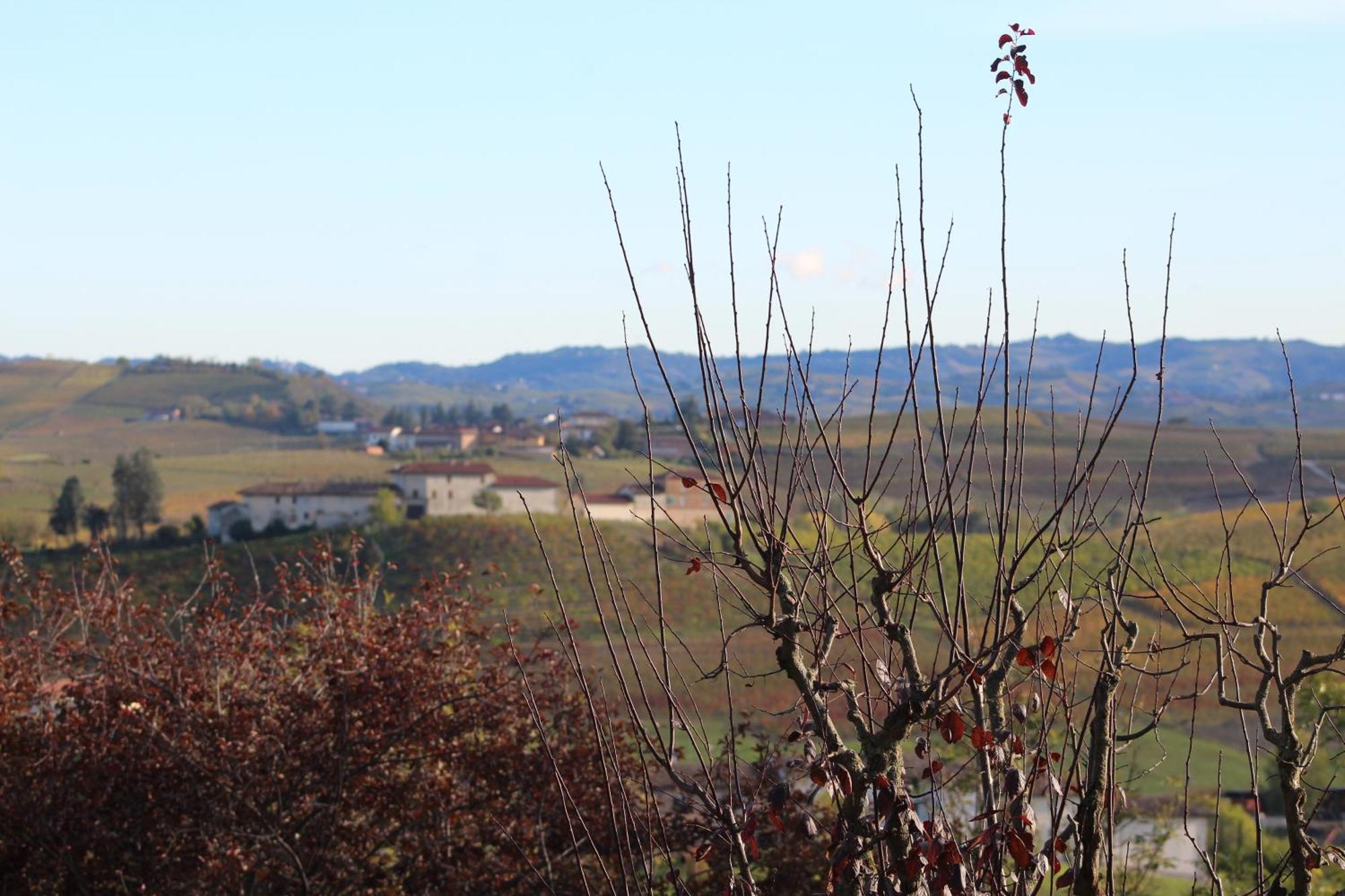 Locanda Del Boscogrande Montegrosso d'Asti Eksteriør billede