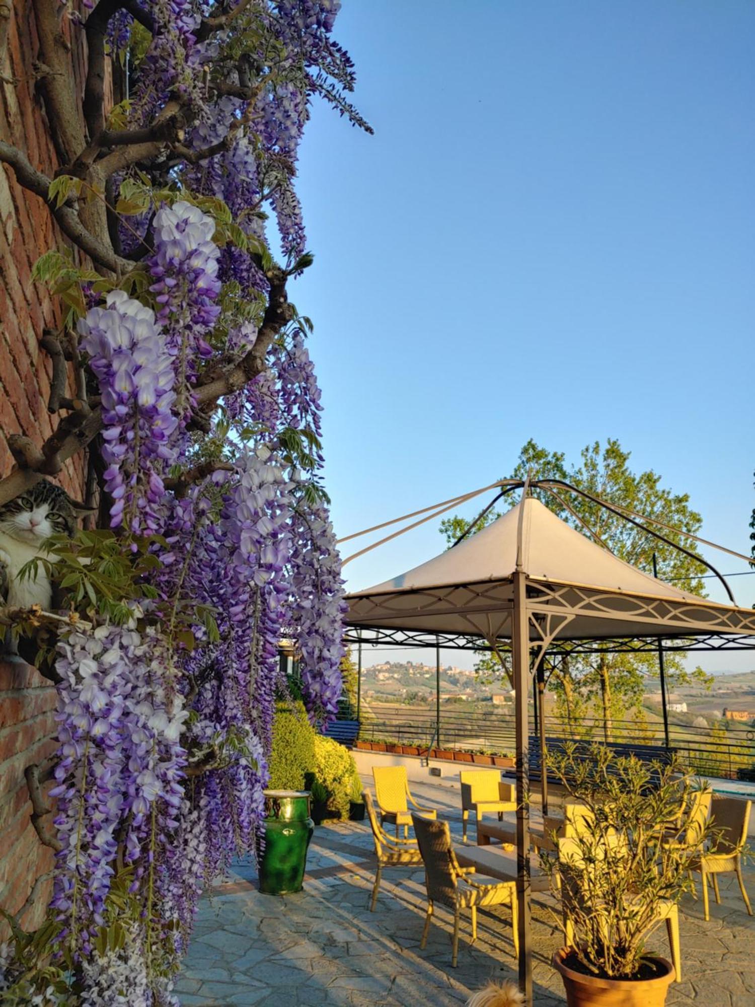 Locanda Del Boscogrande Montegrosso d'Asti Værelse billede