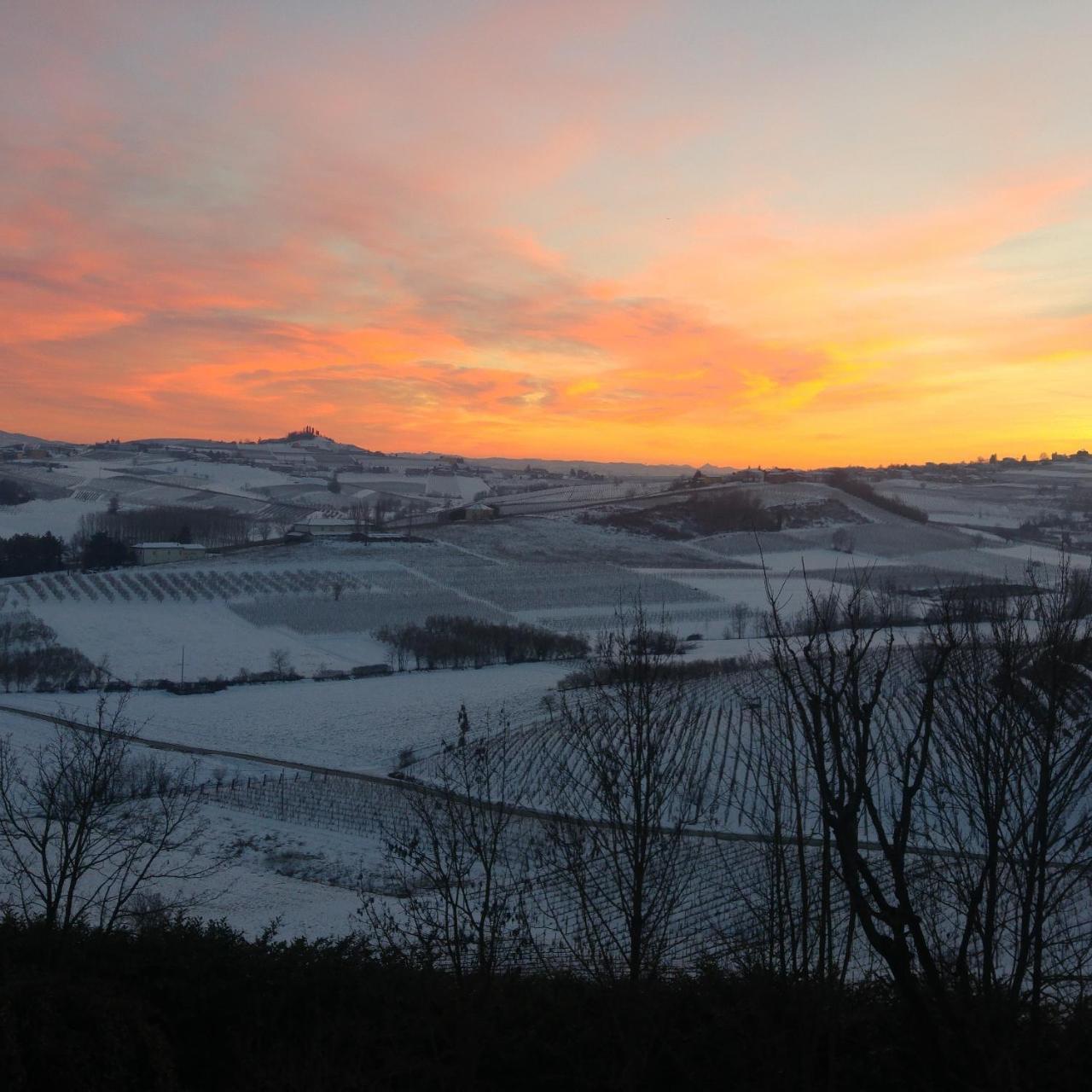 Locanda Del Boscogrande Montegrosso d'Asti Eksteriør billede