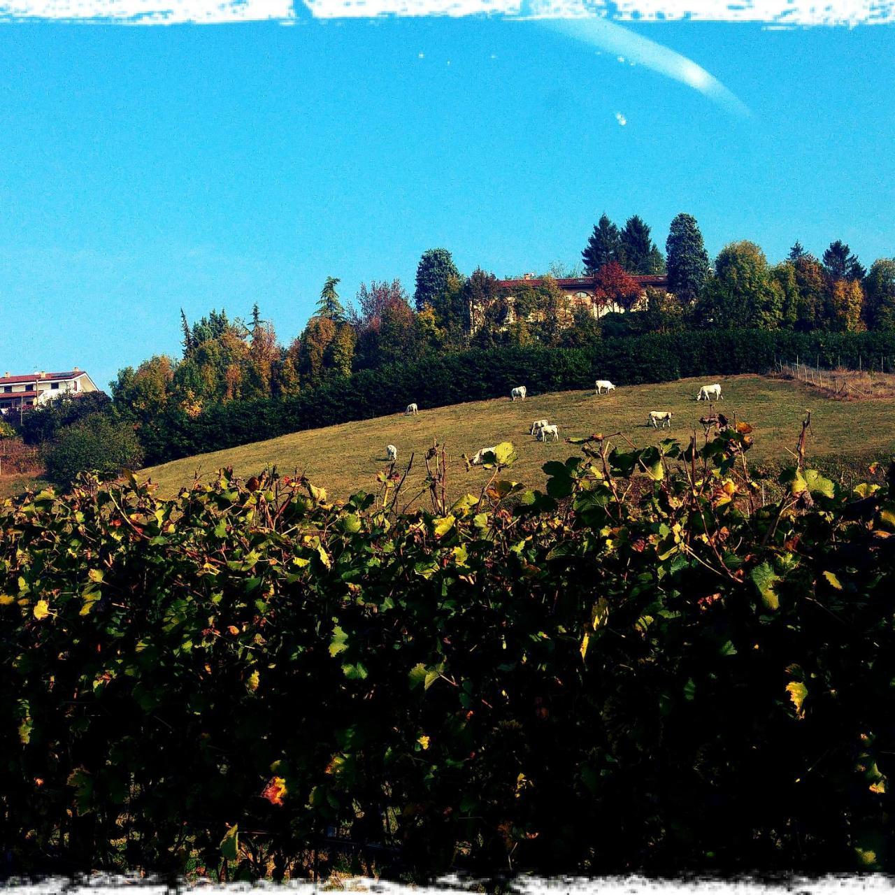 Locanda Del Boscogrande Montegrosso d'Asti Eksteriør billede